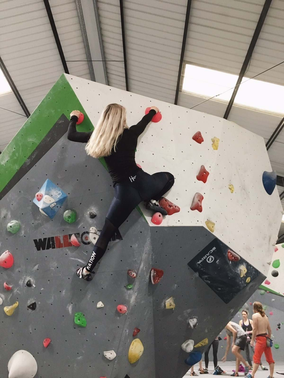 Climbing wall