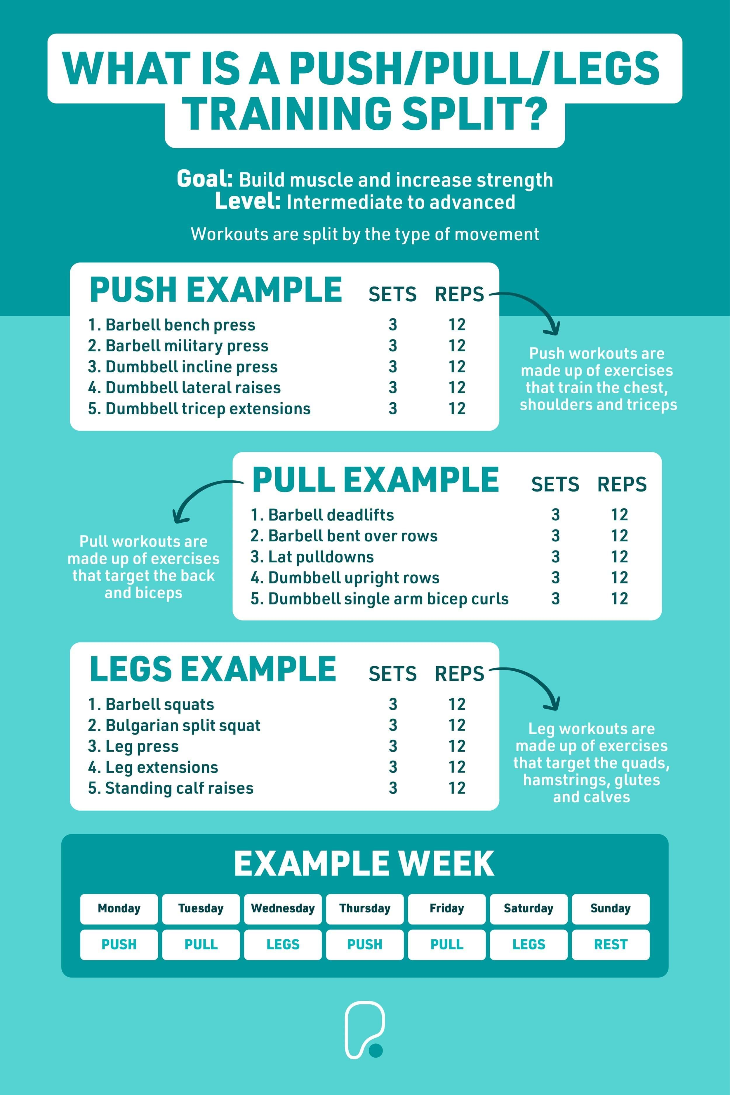 What is a push/pull/legs training split?